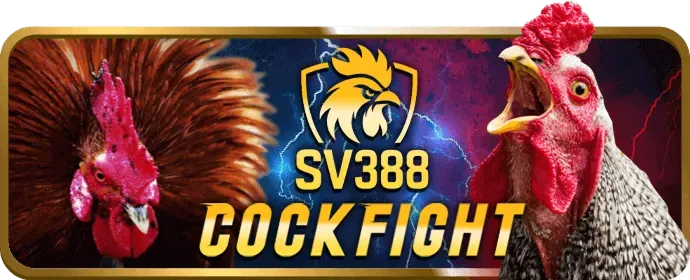 Mẹo chơi slot game hiệu quả tại New88